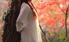 网站你懂我意思吧2020